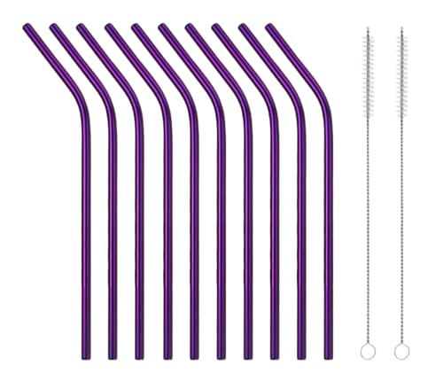 10 Pcs Stainless Steel Straws (10 Count)