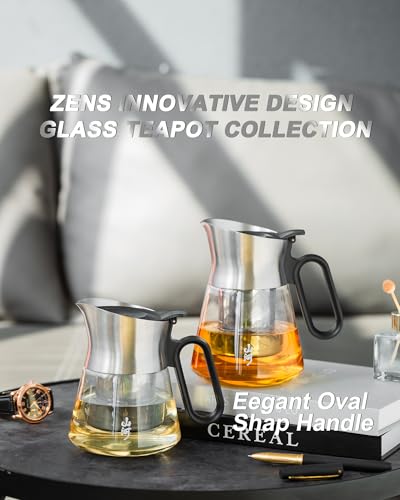 17 oz Small Glass Teapot with Infuser For Loose Leaf Tea Steeper