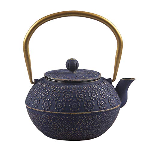 Teapot Cast Iron Tea Kettle for Stovetop Safe Coated with Enameled Interior