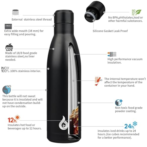 25 oz Insulated Stainless Steel Water Bottle