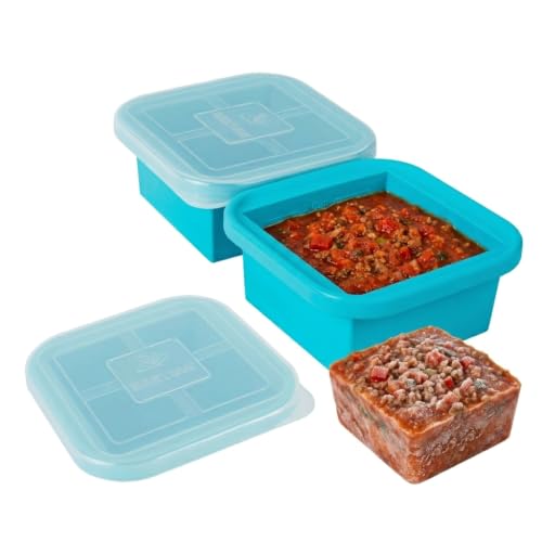 2 Cup Silicone Freezer Tray with Lid (12.32 Ounce)