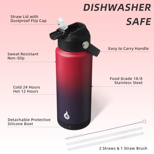 24oz Insulated Water Bottle