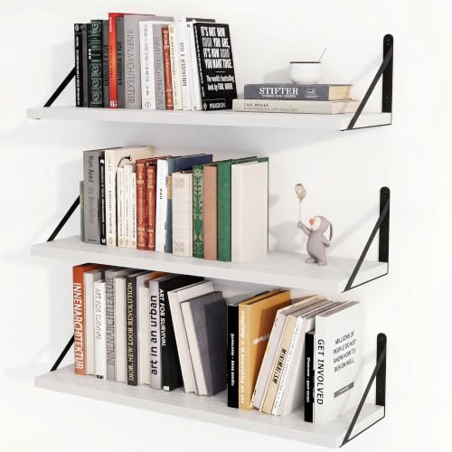 Floating Book Shelves for Wall (3 Count)