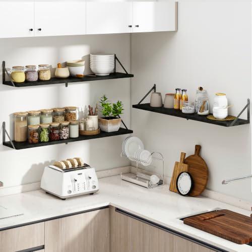 Floating Book Shelves for Wall (3 Count)