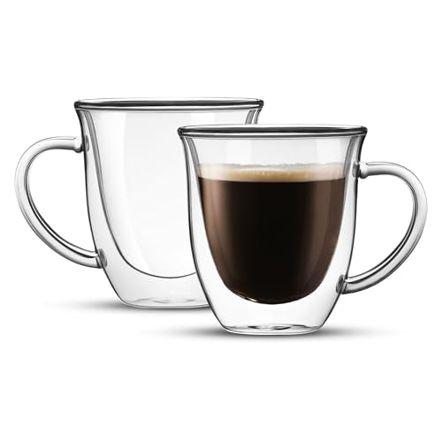 Serene Double Walled Insulated Glasses Coffee Mug (2 Count)