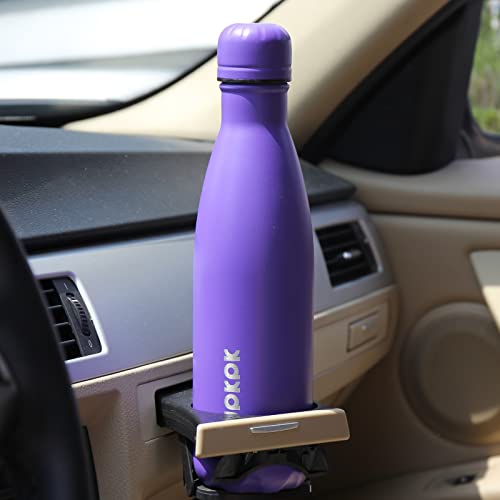 17 oz Insulated Water Bottle