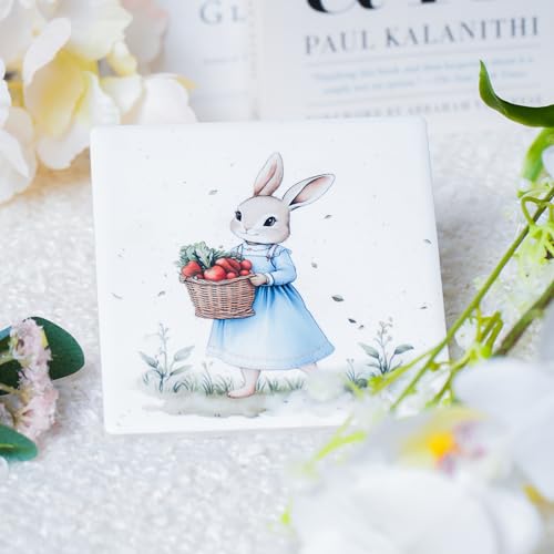 Ceramic Coasters Set of 4