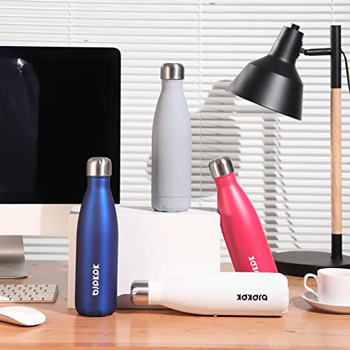 17 oz Insulated Water Bottle