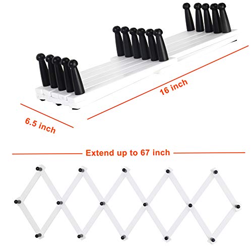 Accordian Wall Hanger