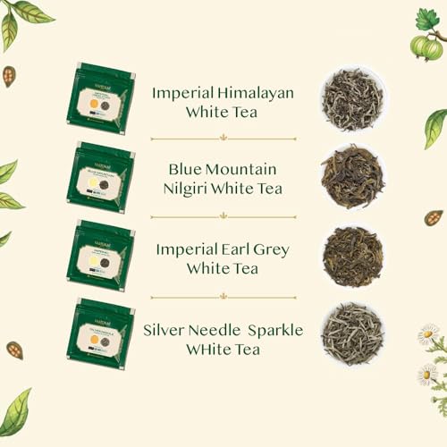 Assorted White Tea Sampler Gift Set