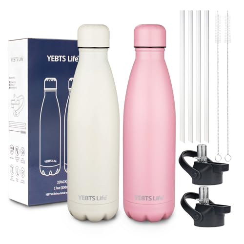 Insulated Water Bottle (2 Count)