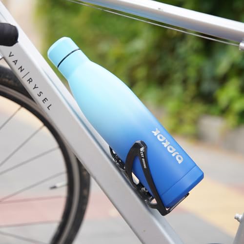 25 oz Insulated Stainless Steel Water Bottle