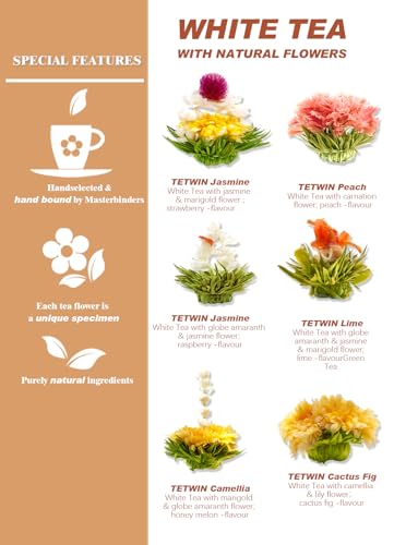 Glass Teapot Including 6 Blooming Flower Tea Balls
