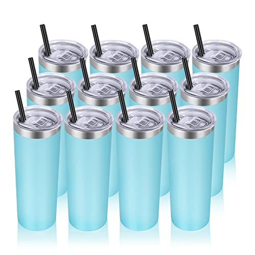 Stainless Steel Tumblers Bulk 12 Pack (12 Count)