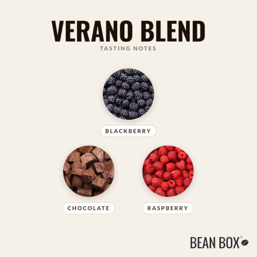 Verano Blend Roasted by Devocion (12 Ounce)