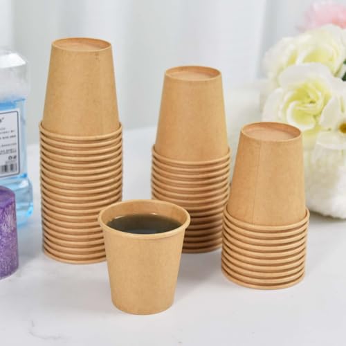 500 Pack 3 oz Kraft Paper Cups (500 Count)