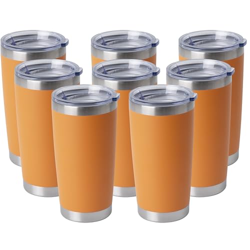 20oz Stainless Steel Tumblers Bulk (8 Count)