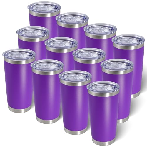 20oz Tumbler with Lid Stainless Steel Tumblers Insulated Mug Purple 12P