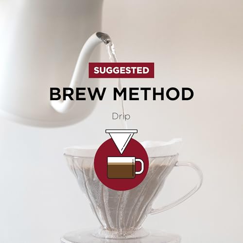Fonte Coffee Roaster (12 Ounce)