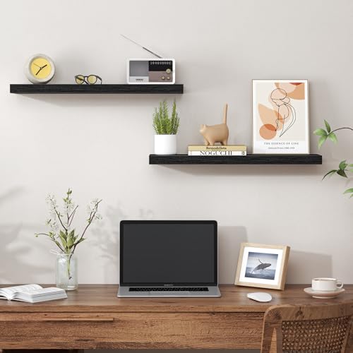 24 Inch Floating Shelves for Wall (2 Count)