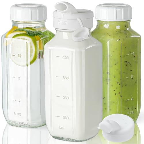 3 Pack 16 Oz Glass Juice Bottles with Lids & 2 Pour Spouts (3 Count)