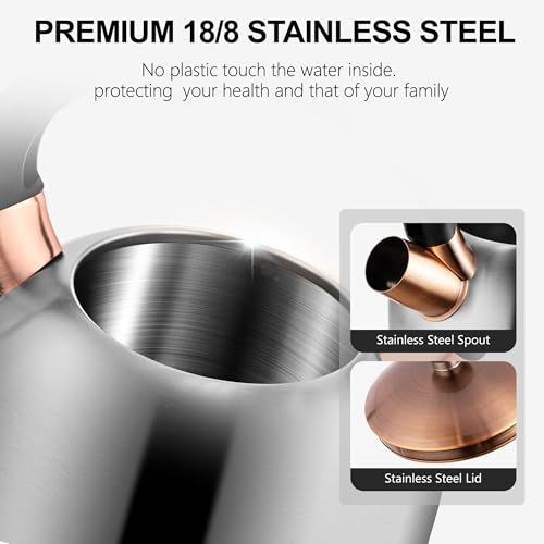 Tea Kettle 3.17QT Stainless Steel Whistling Tea Pot