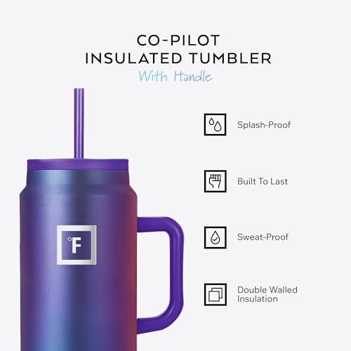Co Pilot Insulated Mug w