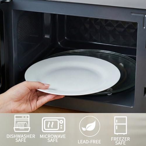10.5" Round Dinner Plates Set of 4 (4 Count)