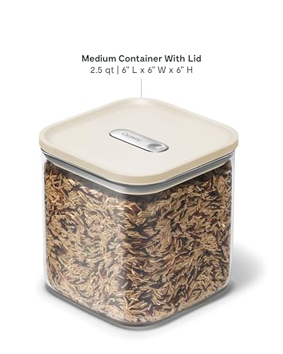 2.5 qt Glass Airtight Food Storage Container with Lid