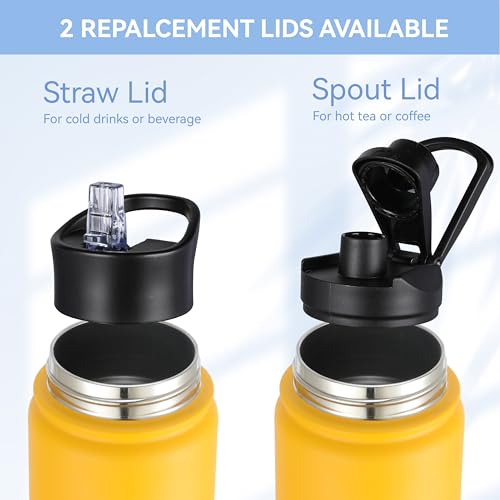 Insulated Water Bottle 22 oz Double Wall Stainless Steel Water Bottle Wide Mouth with Straw Lid & Spout Lid Keeps Cold or Hot