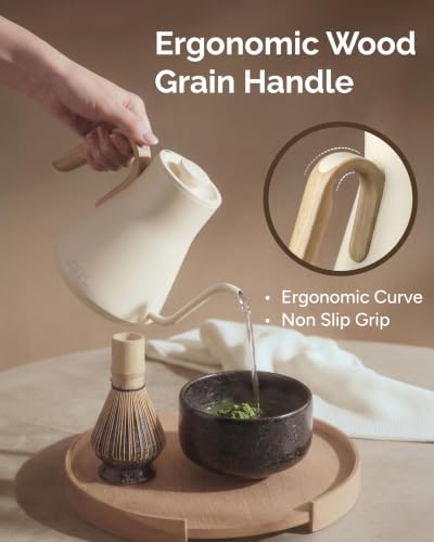 Gooseneck Electric Kettle