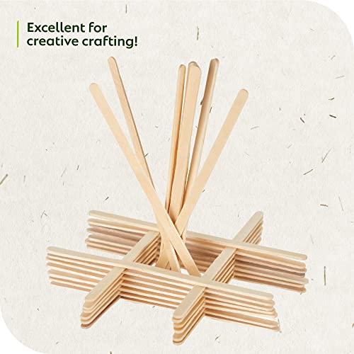 Birch Wood Coffee