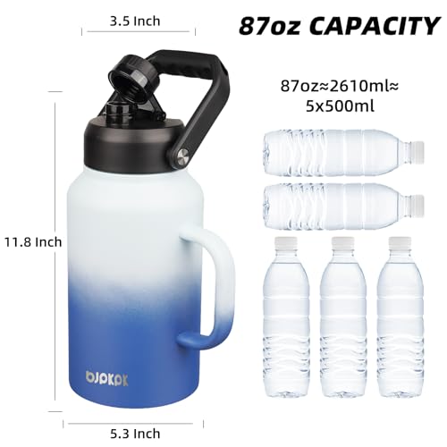 87oz Stainless Steel Water Bottle