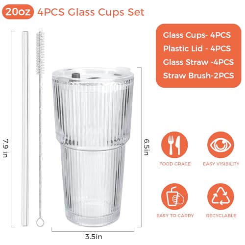 4PCS 20oz Glass Cups with Lids and Straws (4 Count)
