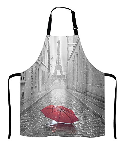 Paris France Apron