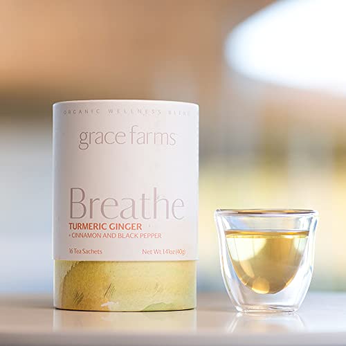 BREATHE Wellness Organic Tea Blend (16 Count)