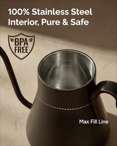 Gooseneck Electric Kettle