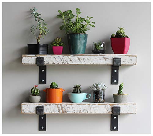Accent Shelves (2 Count)