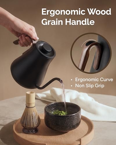 Gooseneck Electric Kettle