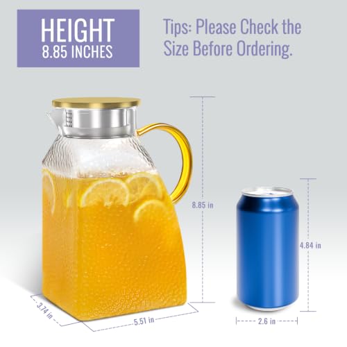 Glass Pitcher With Lid and Spout