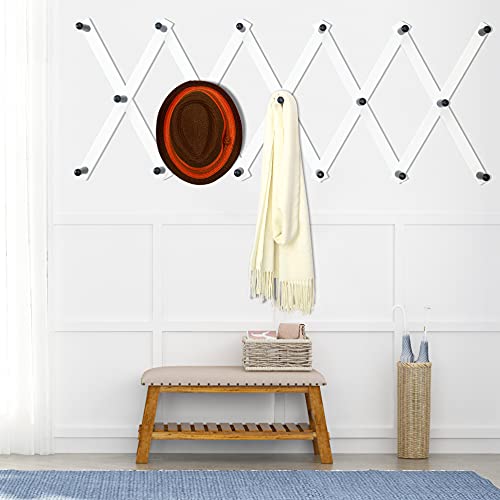 Accordian Wall Hanger