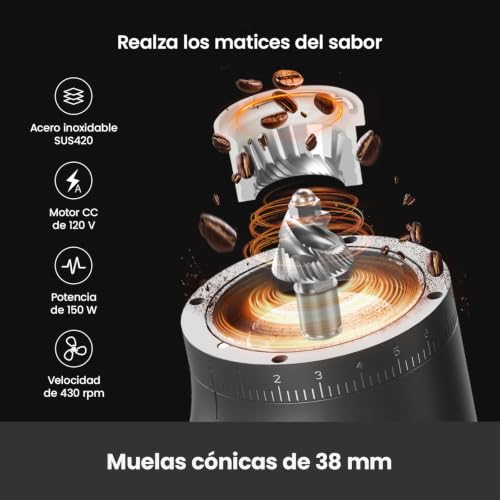 Electric Conical Burr Coffee Grinder