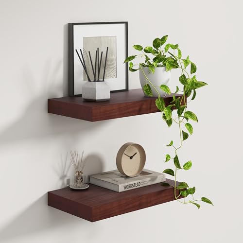 9 Inch Deep Floating Shelves (2 Count)