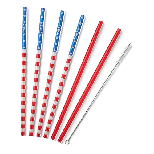 Reusable Straw Set with Cleaning Brush