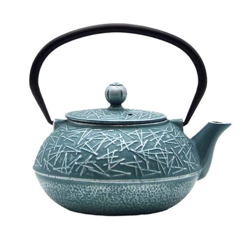 Cast Iron Tea Kettle