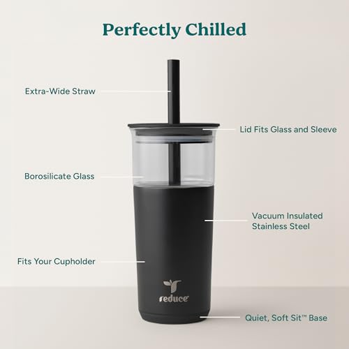 Aspen 20oz Vacuum Insulated Glass Tumbler