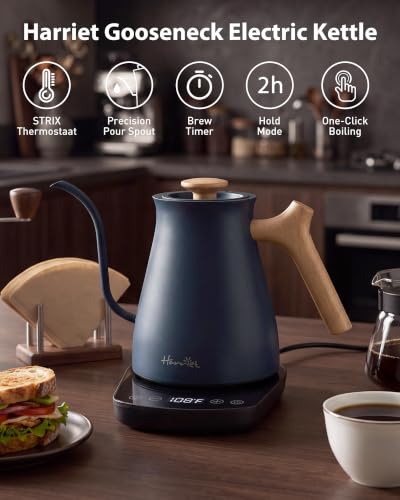 Gooseneck Electric Kettle