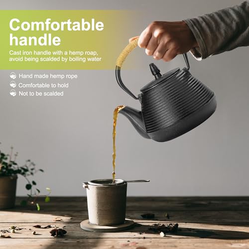 Japanese Tetsubin Tea Kettle Cast Iron Teapot with Stainless Steel Infuser 30 oz