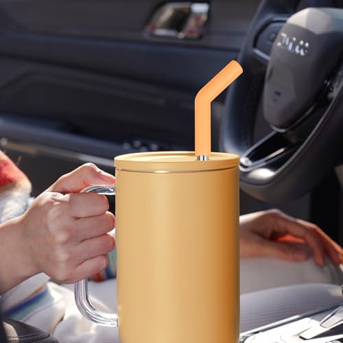 6PCS Stainless Steel Straws with Silicone Tip Fit for Stanley Cup (6 Count)