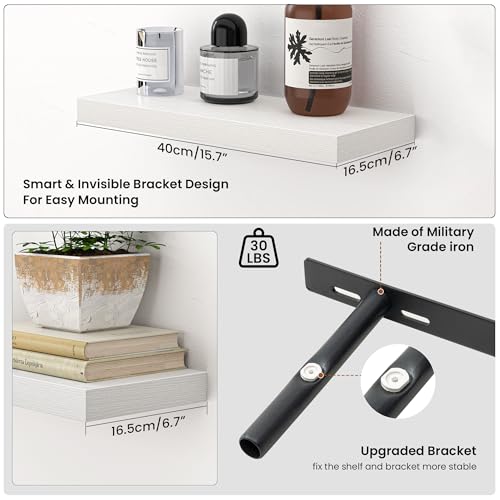 Floating Shelves for Wall (2 Count)